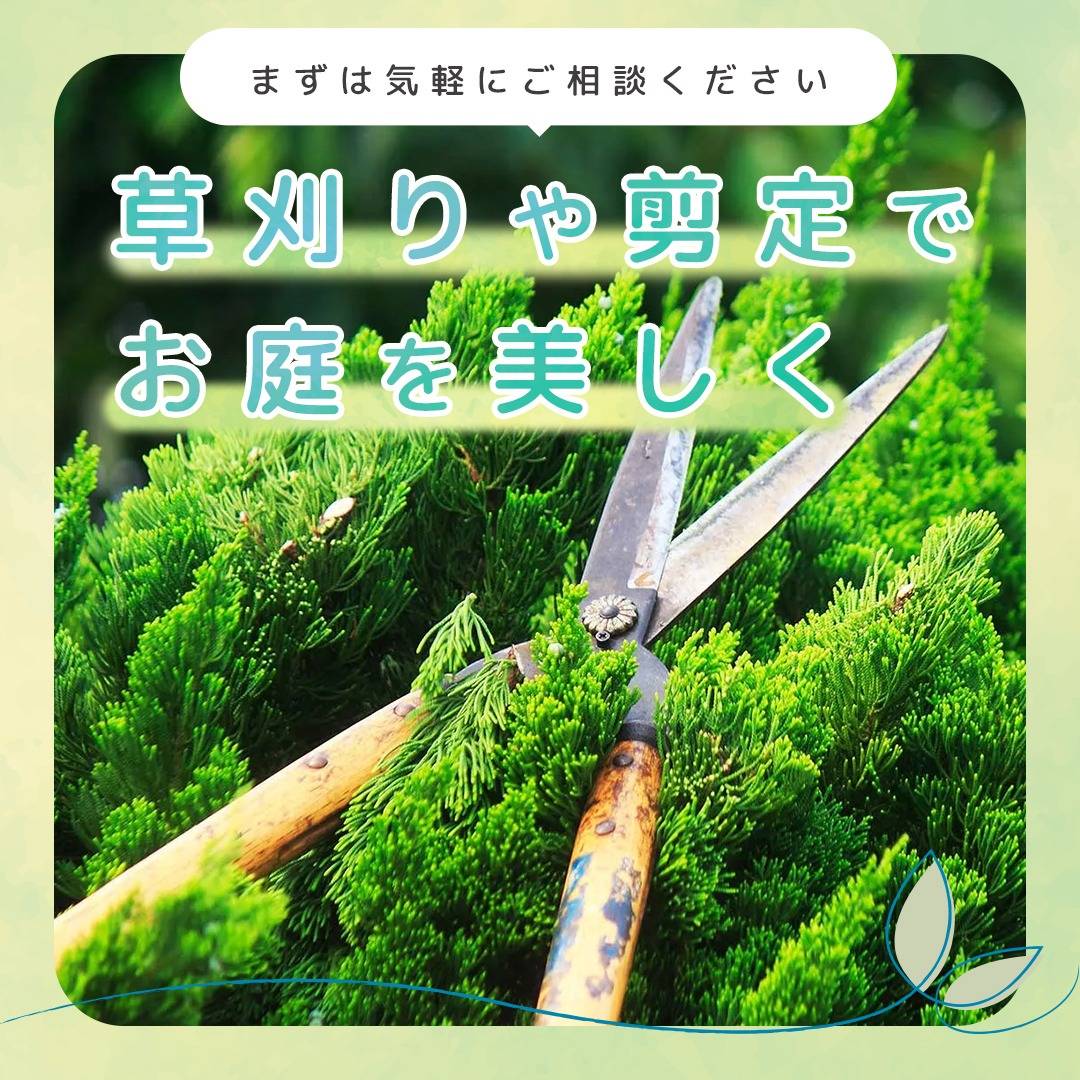 popup_banner