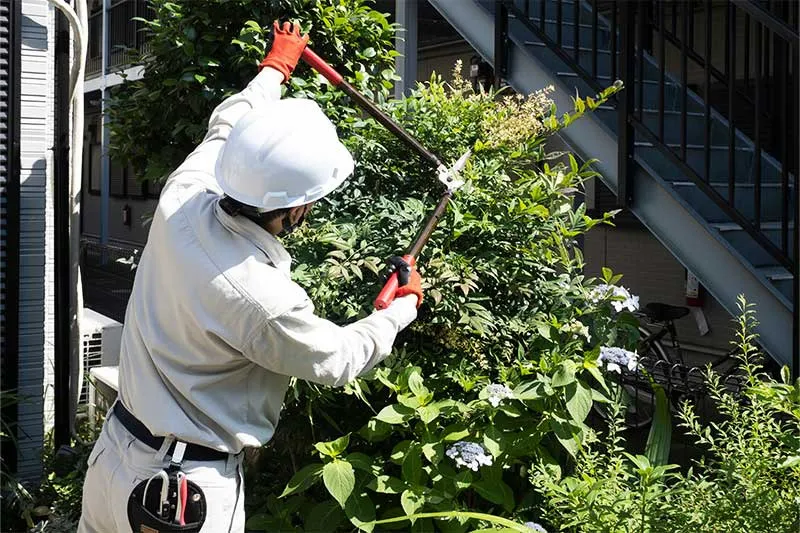 植物に誠実に向き合う代表からのご挨拶