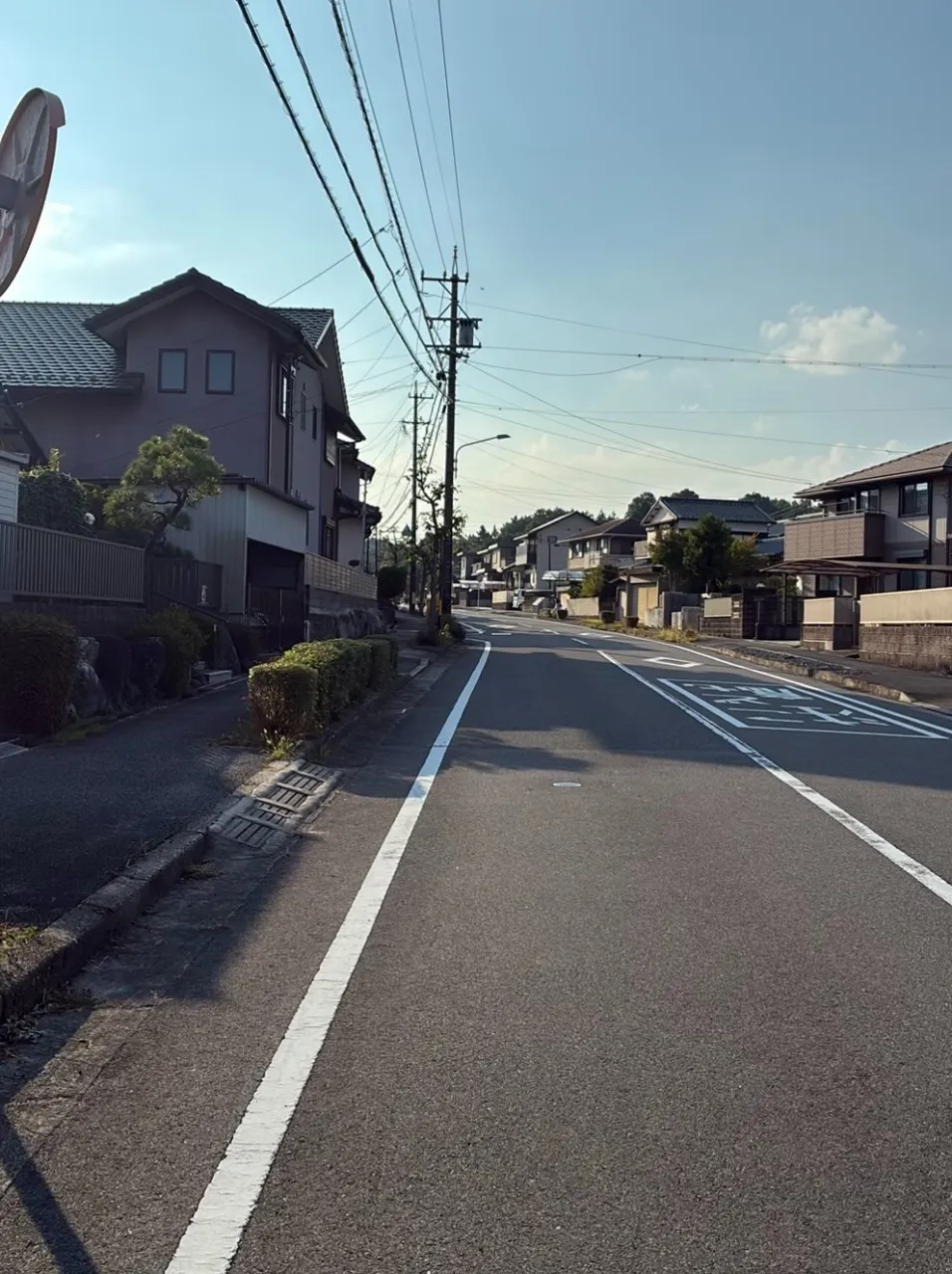 道路から見える木も、綺麗に整えて　伸びた枝を剪定して、スッキ...